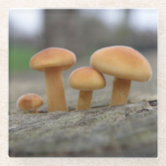 Dessous-de-verre En Verre Tabourets Toadstools Dessous de verre en verre Mac
