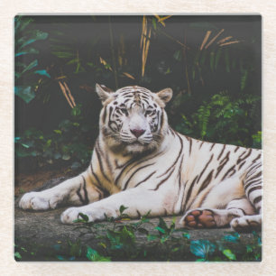 Dessous-de-verre En Verre Tigre