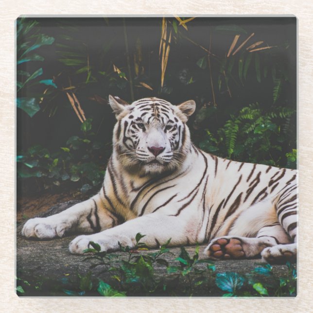 Dessous-de-verre En Verre Tigre (Devant)