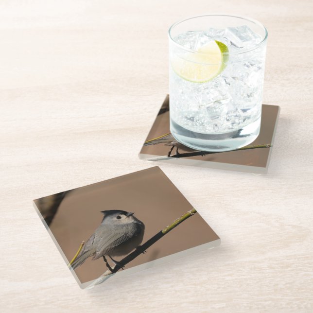 Dessous-de-verre En Verre Titmouse_Coaster (Incliné)
