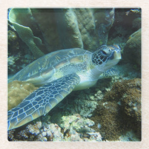 Dessous-de-verre En Verre Tortue de mer sur la photo des fonds marins