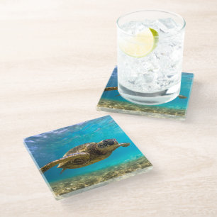 Dessous-de-verre En Verre Tortue Dessous de verre-mer de verre