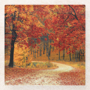Dessous-de-verre En Verre Traverser les arbres en automne