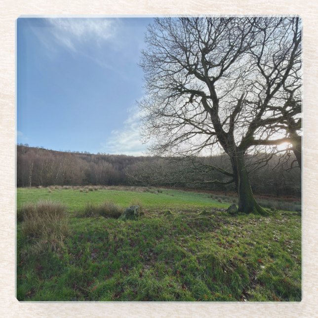 Dessous-de-verre En Verre Tree view.. (Devant)