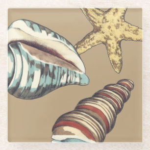 Dessous-de-verre En Verre Trio de Shell sur kaki