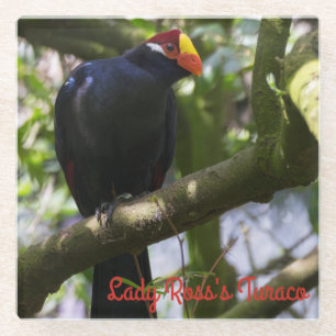 Dessous-de-verre En Verre Turaco de Lady Ross