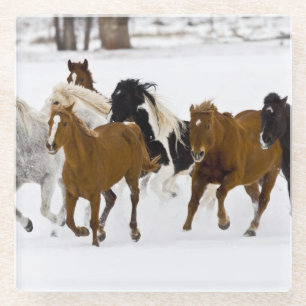 Dessous-de-verre En Verre Un hiver pittoresque de chevaux en course