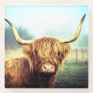 Dessous-de-verre En Verre Vache de Highland