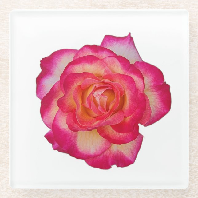 Dessous-de-verre En Verre Vibrant Pink Rose Coaster (Devant)