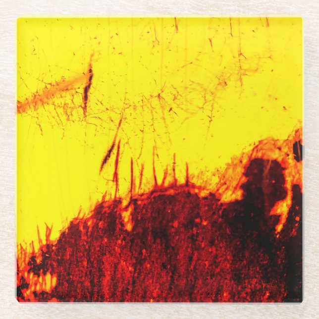 Dessous-de-verre En Verre Vieil ambre (Devant)