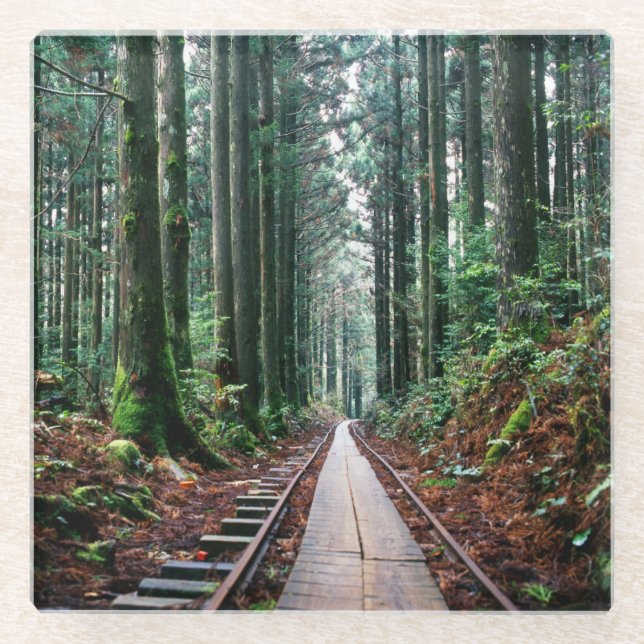 Dessous-de-verre En Verre Voies de train dans la forêt (Devant)