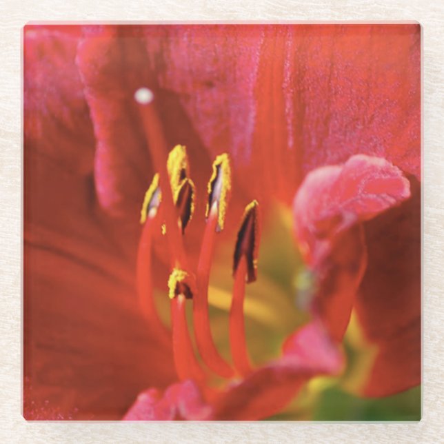 Dessous-de-verre En Verre Voir rouge (Devant)