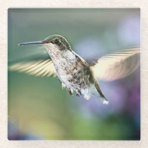Dessous-de-verre En Verre Vol de colibri