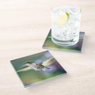Dessous-de-verre En Verre Vol de colibri