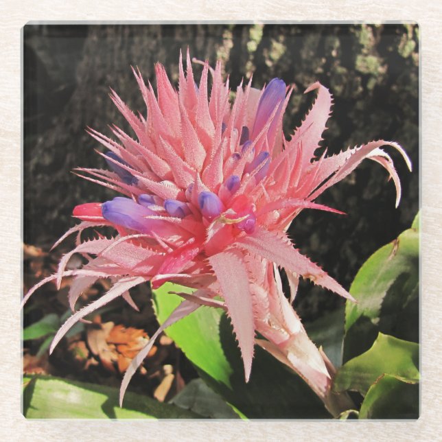 Dessous-de-verre En Verre Votre Dessous de verre de verre personnalisé (Devant)