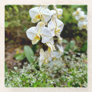 Dessous-de-verre En Verre White Orchid