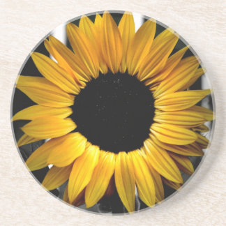 Dessous de verre ensoleillés