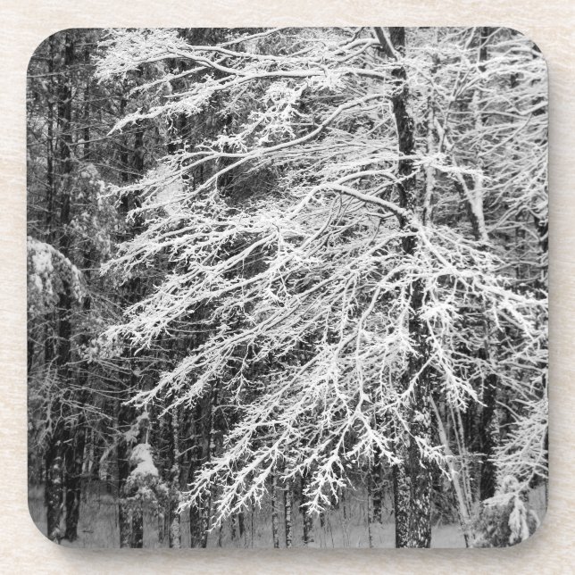 Dessous-de-verre Érable En Neige (Devant)