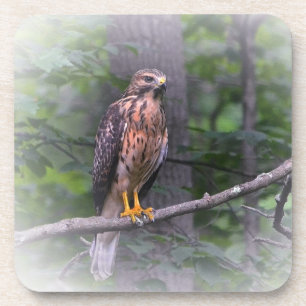 Dessous-de-verre Esprit Du Faucon