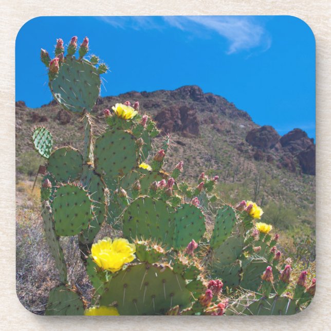 Dessous-de-verre États-Unis, Arizona. Cactus dans les collines (Devant)
