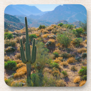 Dessous-de-verre États-Unis, Arizona. Desert View