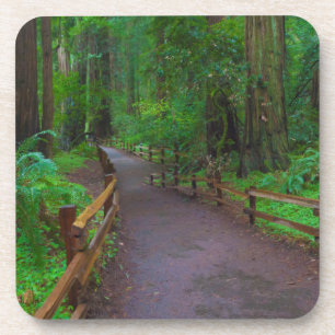 Dessous-de-verre États-Unis, Californie. Chemin parmi les séquoias