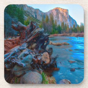 Dessous-de-verre États-Unis, Californie. Racines d'arbres dans la r