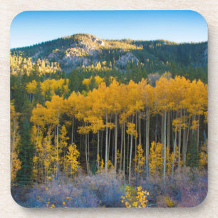 Dessous-de-verre États-Unis, Colorado. Jaunes brillants peupliers t