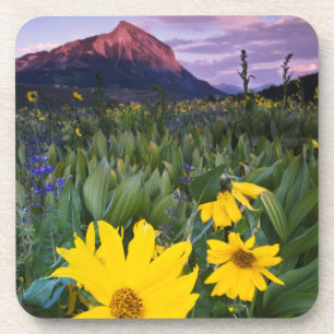 Dessous-de-verre États-Unis, Colorado, Mt. Crested Butte
