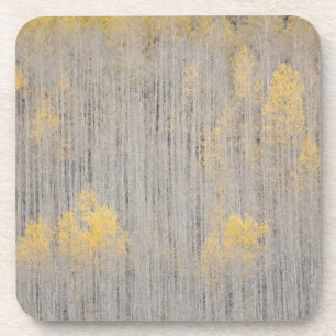 Dessous-de-verre États-Unis, Colorado, White River National Forest.