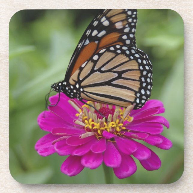 Dessous-de-verre États-Unis, Massachusetts, Boylston, Tower Hill (Devant)