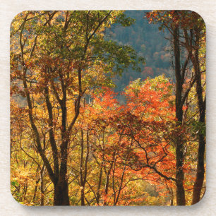 Dessous-de-verre États-Unis, Tennessee. Feuillage d'automne