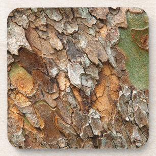 Dessous-de-verre États-Unis, Tennessee, Gros Plan Sur Un Arbre
