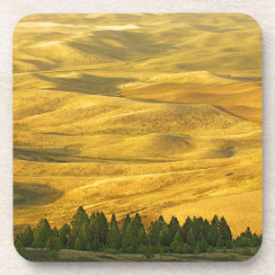 Dessous-de-verre États-Unis, Washington, Comté de Whitman, Palouse,