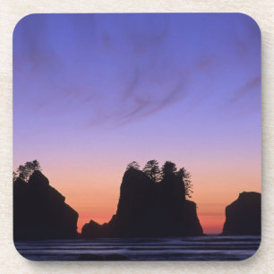 Dessous-de-verre États-Unis, Washington, Parc national Olympique, S