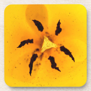 Dessous-de-verre Étiquetage et pollen des tulipes
