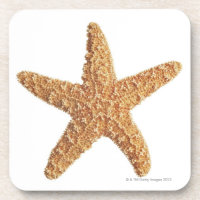 Étoiles de mer d'isolement sur le blanc