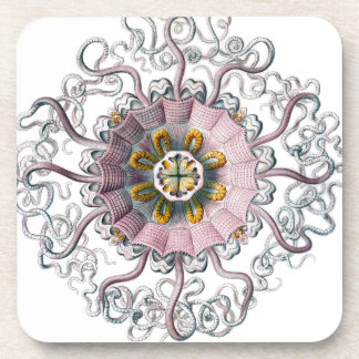 Dessous-de-verre Étoiles de mer roses