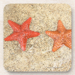 Dessous-de-verre étoiles de mer sur la plage, au bord de l'océan