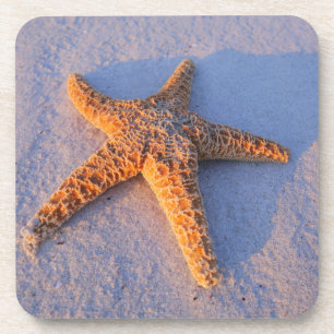 Dessous-de-verre Étoiles de mer sur le sable blanc