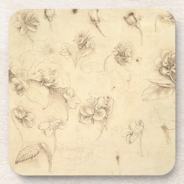 Dessous-de-verre Étude des fleurs de Herbe-comme des plantes (Briza (Devant)