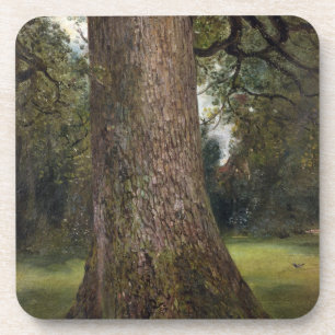 Dessous-de-verre Étude du tronc d'un arbre d'orme, c.1821 (huile