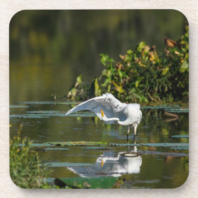 Dessous-de-verre Examen de l'aile Egret (Devant)