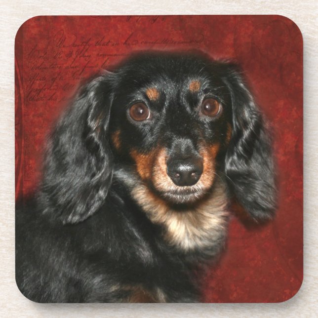 Dessous-de-verre Face Dachshund (Devant)