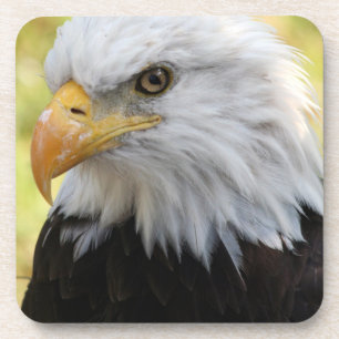 Dessous-de-verre Falln Bald Eagle Liberty