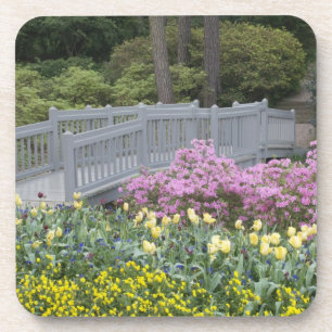 Dessous-de-verre Famille Azalea Heath (Ericaceae), Tulip et