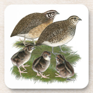 Dessous-de-verre Famille de Cailles Coturnix