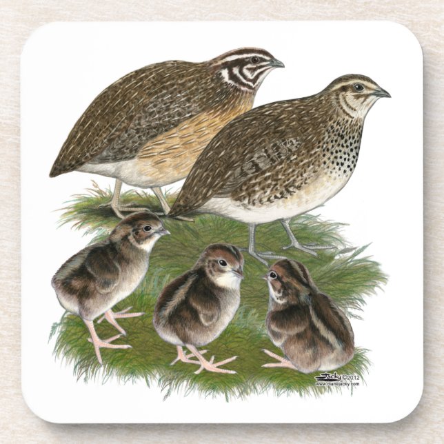 Dessous-de-verre Famille de Cailles Coturnix (Devant)