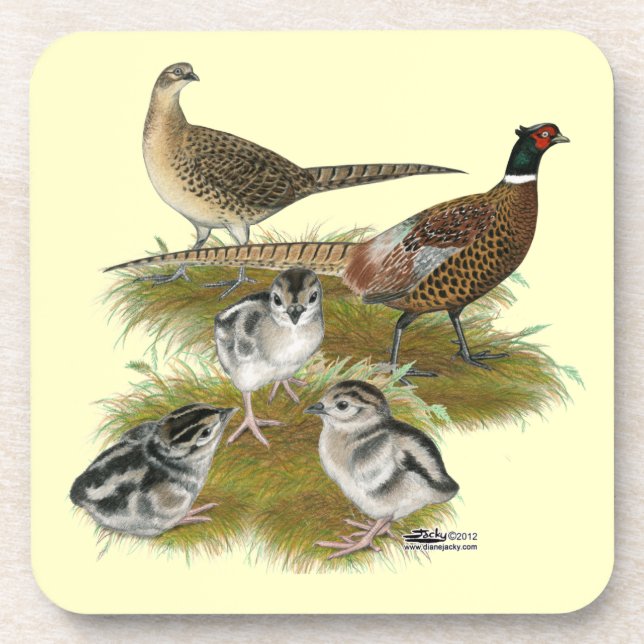 Dessous-de-verre Famille de faisans à collier (Devant)