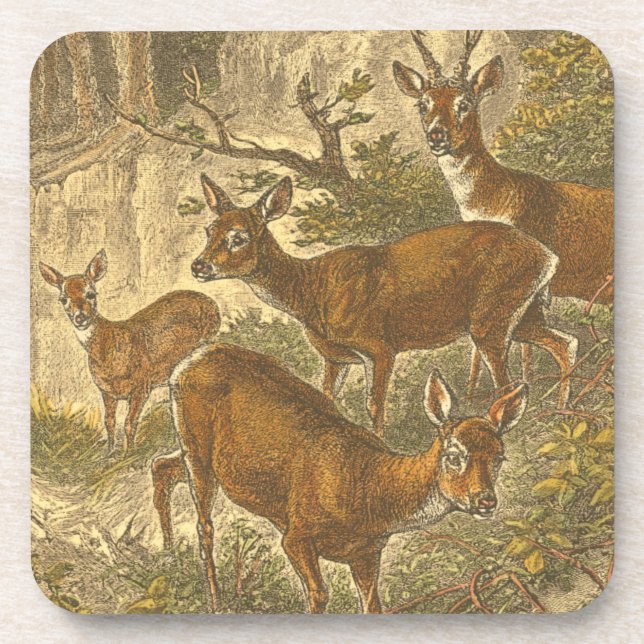 Dessous-de-verre Famille de Roe - Cerfs dans une forêt (Devant)